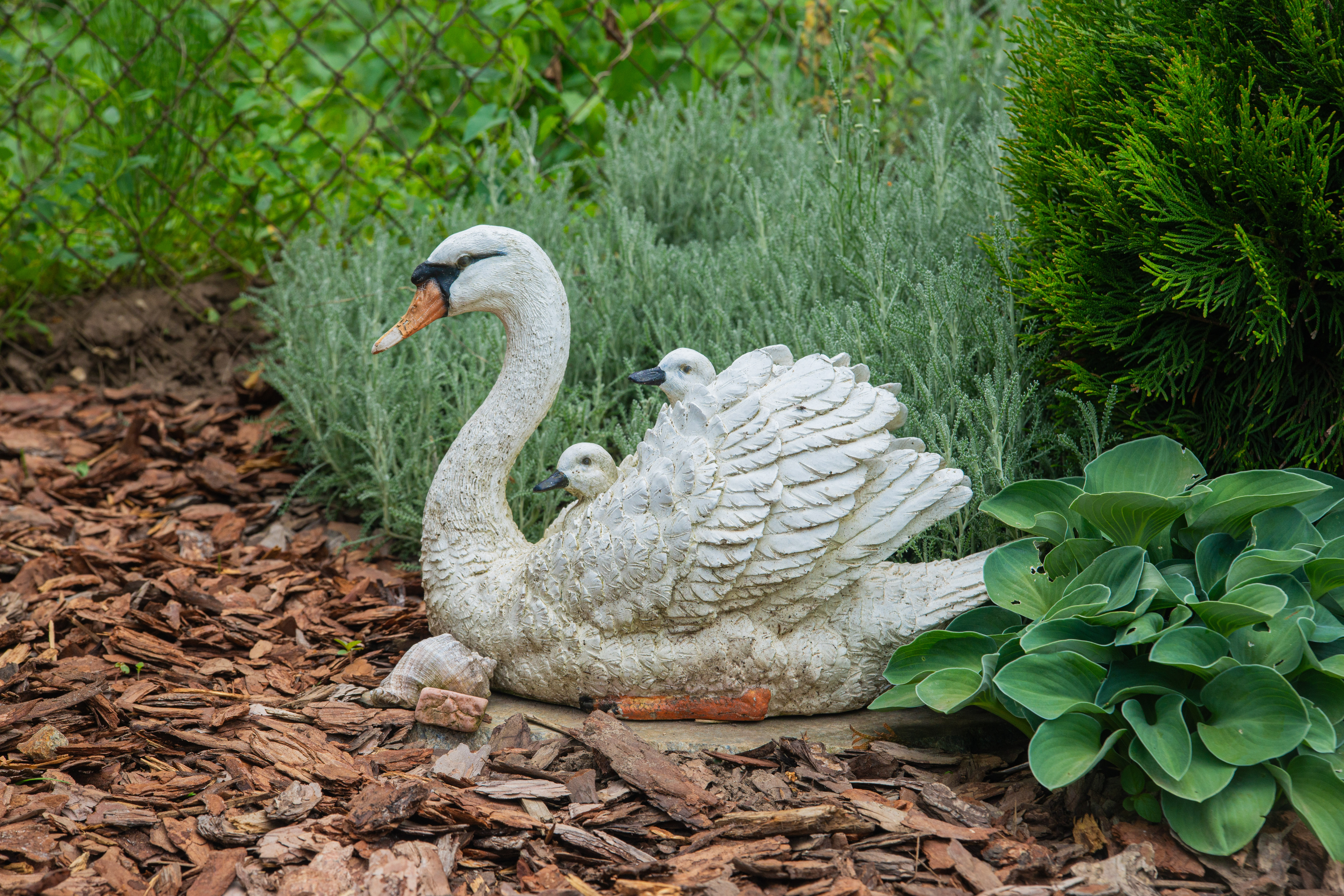 Территория